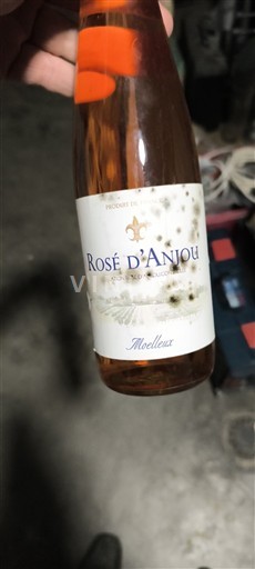 Dolina Loare Rosé d'Anjou Domaine Anjou Neleten.