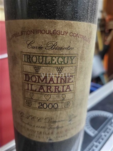 Jugozahod Irouléguy Domaine Ilarria Bixintxo 2000