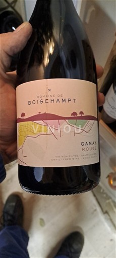 Beaujolais Domaine Boischampt Gamay Rouge Senza annata