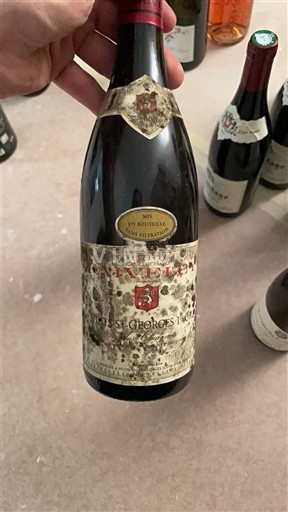 Burgundija Nuits-Saint-Georges Domaine Rion 2006