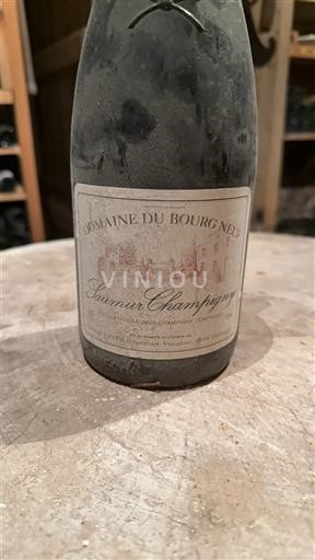 Loiren laakso Saumur-champigny Domaine Bourg Neuf 1985