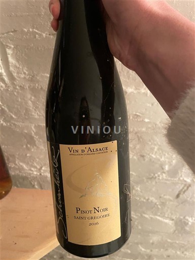 Alsace Saint-Grégoire 2016