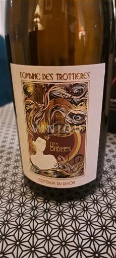 Dolina Loare Coteaux-du-Layon Domaine S Trottières Les Origines 2020