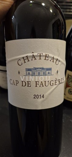 Bordeaux Castillon-côtes-de-bordeaux Château Cap de Faugères 2014