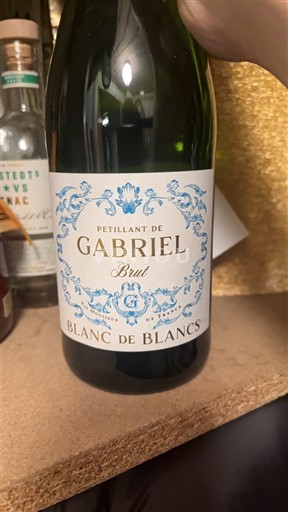 Dolina Loare Ni doloceno Gabriel Pétillant de Gabriel Brut 2023