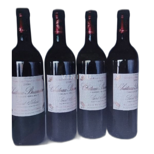 Bordeaux Saint-Julien Chateau Branaire-Ducru 2000