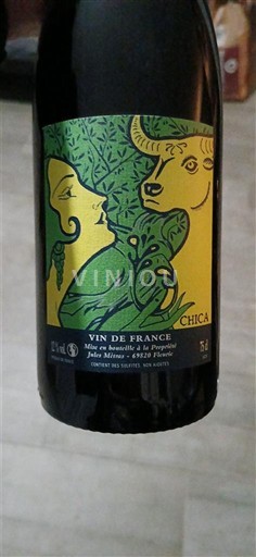 Dolina Loare Ni doloceno Julien Pineau Chica Neleten.