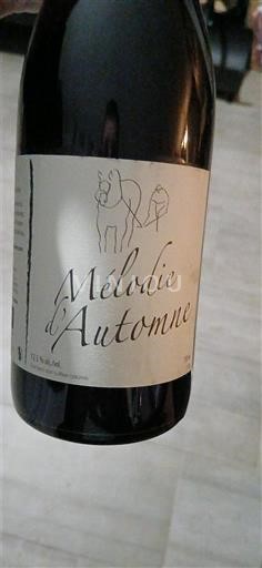 Beaujolais Fleurie Les Vins de la Madone Mélodie d'Automne Senza annata