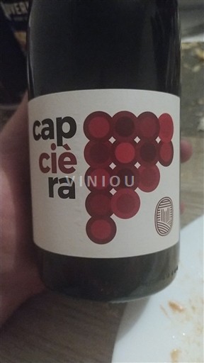 Viinit Rouge sec Cap Ciera 2022 Ranska Languedoc Minervois AOC