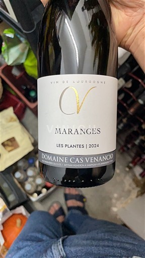 Burgundsko Maranges Domaine Cas Venancio Les Plantes 2024