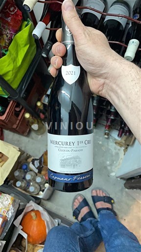 Burgundy Mercurey Premier Cru Copanet-Ferret Clos du Paradis 2021