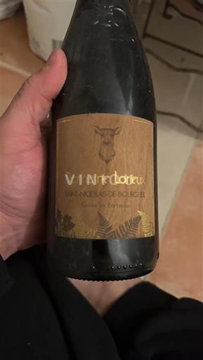 Loire-dalen Saint-Nicolas-De-Bourgueil Domaine Lorieux Ikke årgangsbestemt