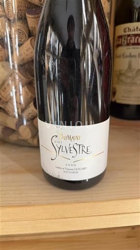 Wines Rouge sec Domaine Saint Sylvestre 2020 France Languedoc-Roussillon Saint-Guilhem-le-Désert IGP