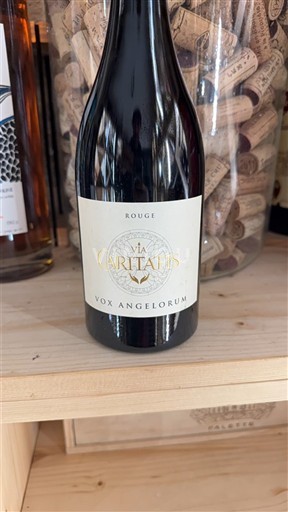 Valle del Ródano Ventoux Via Caritatis Vox Angelorum 2022