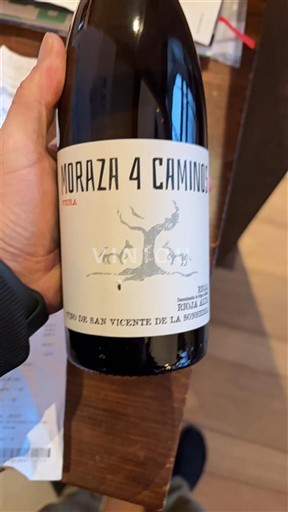 Вина Rouge sec 4 Caminos Moraza Non millésimé Španija La Rioja Rioja DO