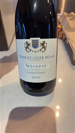 Bourgogne Thibault Liger-Belair Les Deux Terres 2022