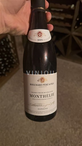 Burgundsko Monthélie Domaine Bouchard Père & Fils 2019