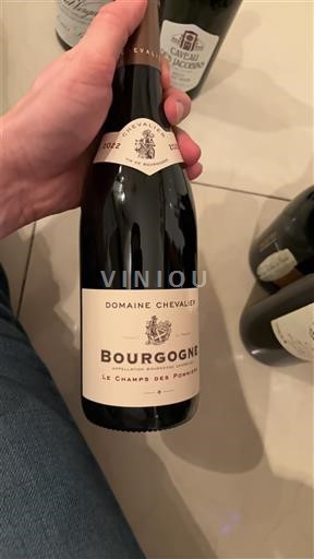 Bourgogne Domaine Chevalier Le Champs des Poupons 2022