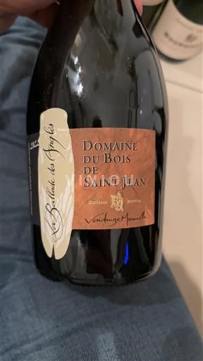 Valle del Ródano Ventoux Domaine Bois de Saint Jean La Bataille des Anges 2022