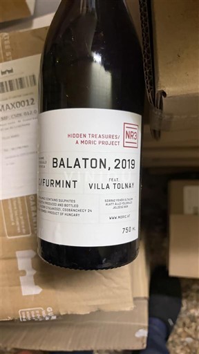 Balaton No especificado Villa Tolnay Hidden Treasures NR3 Balaton 2019