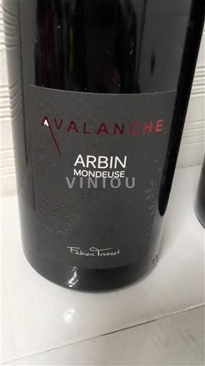 Savoie og Bugey Abymes Fabien Trosset Avalanche 2022