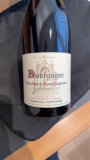 Bourgogne Dubreuil-Fontaine Notre-Dame de Bonne Espérance 2023