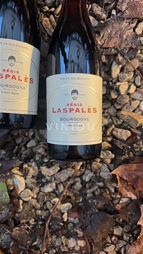 Bourgogne Régis Laspalès 2023
