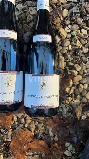 Burgundija Nuits-Saint-Georges R. Dubois & Fils 2021
