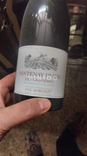 Borgogna Non specificato Premier Cru P & L Borgeot Les Gravières 2020