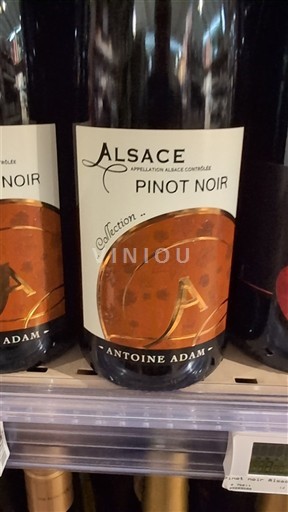 Alsace Antoine Adam Sélection 2023