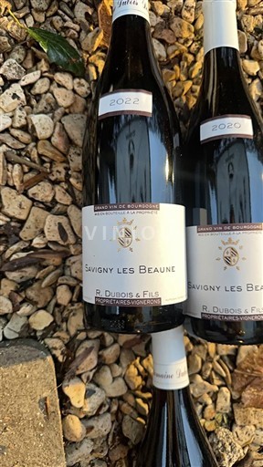 Burgundy Savigny-lès-Beaune R. Dubois & Fils 2022