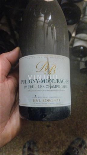 Burgundija Ni doloceno Premier Cru F & L Borgeot Les Champs Gains 2018