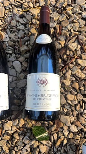 Burgundy Savigny-lès-Beaune Premier Cru Pierre André Les Serpentières 2017