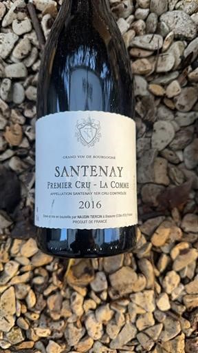 Burgundsko Santenay Premier Cru Maignien Thevenin & Bonneau Premier Cru - La Comme 2016