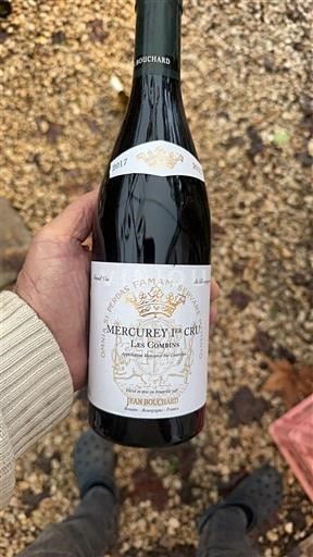 Wines Rouge sec Les Combins Jean Bouchard 2017 France Burgundy Mercurey AOC Premier Cru
