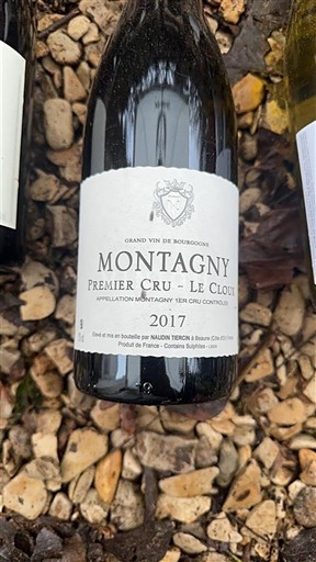 Borgonha Montagny Premier Cru Naudin-Tiercin Le Cloux 2017
