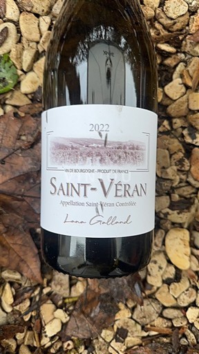 Bourgondië Saint-Véran Léna Gaillard 2022