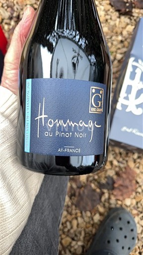 Champagne Henri Giraud Hommage au Pinot Noir Ikke årgangsbestemt