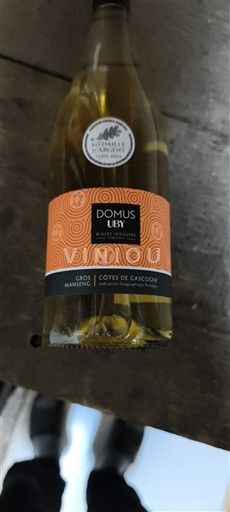 Sudoeste Côtes de Gascogne Domaine Uby Domus Uby Sin añada