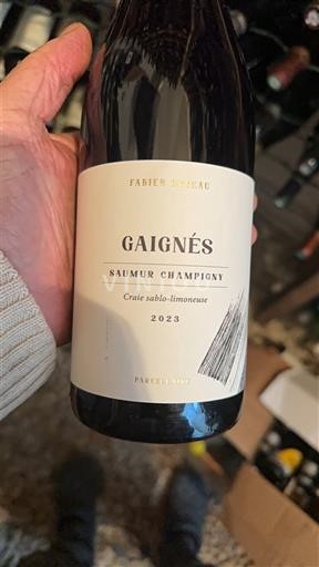 Loiretal Saumur-Champigny Fabien Duveau Gaignés 2023