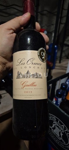 Bordeaux Castillon-côtes-de-bordeaux Les Ormes de Longchat 2012