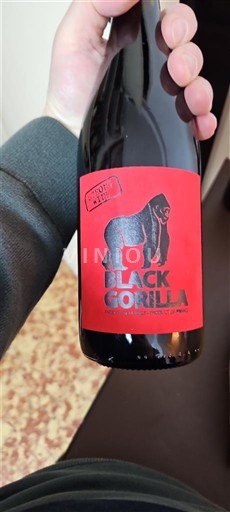 Linguadoca e Rossiglione Paese d'Oc Domaine Montagnac Black Gorilla Senza annata