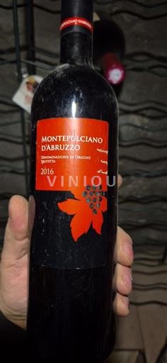 Abruzzo Montepulciano d'Abruzzo Italie 2016