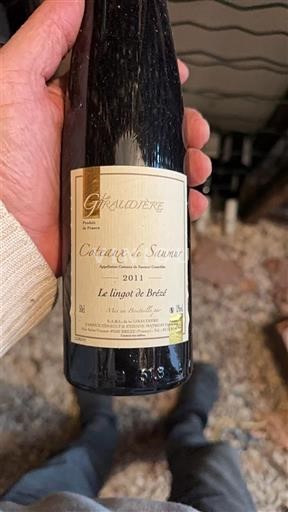 Valle della Loira Coteaux-de-saumur Gaudillère Le lingot de Brézé 2011