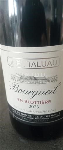 Valle del Loira Bourgueil Joël Taluau En Blottière 2023