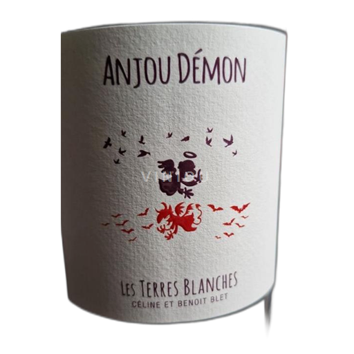 Dolina Loare Domaine Les Terres Blanches Anjou démon 2022