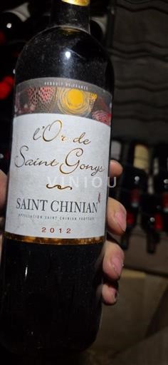 Wines Rouge sec l'Or de Saint Geys Saint Geys 2012 France Languedoc Saint-Chinian AOC