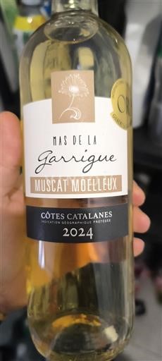 Languedoc and Roussillon Côtes Catalanes Mas de la Garrigue Muscat Moelleux 2024
