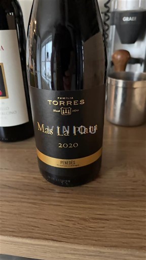 Catalonia Penedès Familia Torres Mas La Plana 2020