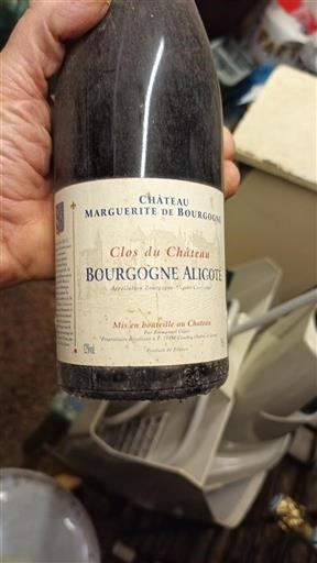Borgogna Borgogna Aligoté Château Marguerite de Bourgogne Clos du Château Senza annata